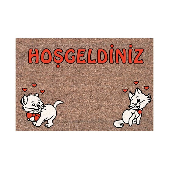 Desan Dikdörtgen 40x60 cm Pvc Koko Flok Paspas Çok Renkli