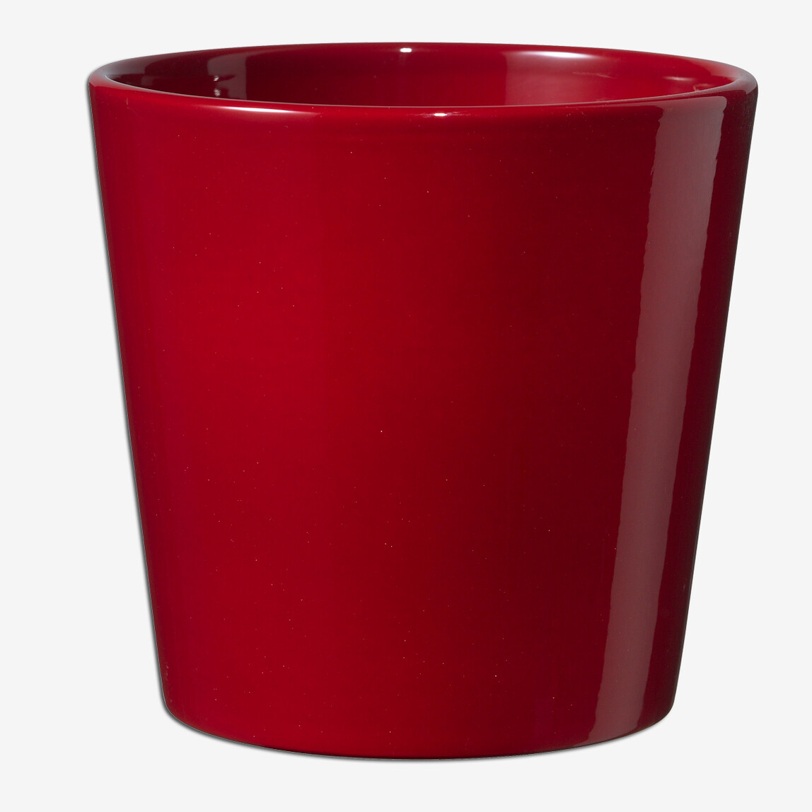    Dallas Saksı Bordo 21 cm 