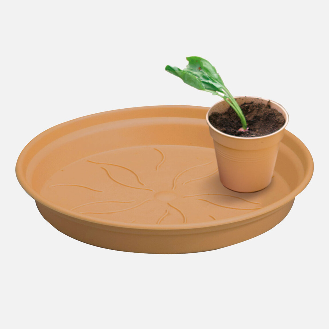    Elho Saksı Altlığı Kahve Green Basics  