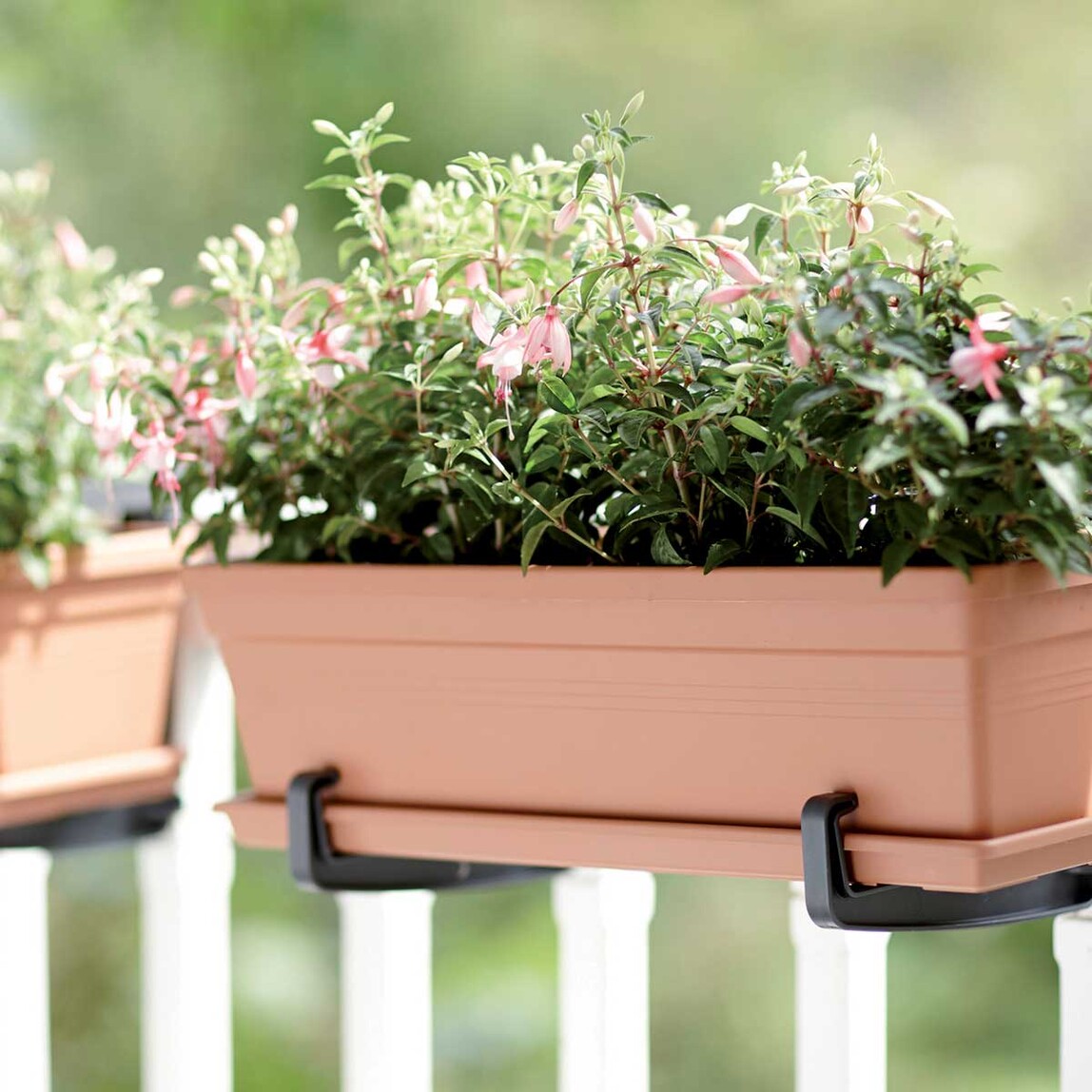    Elho Green Basics Balkon Saksısı Kahve 50 cm  