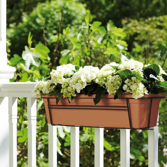 Elho Green Basics Balkon Saksısı Kahve 50 cm 