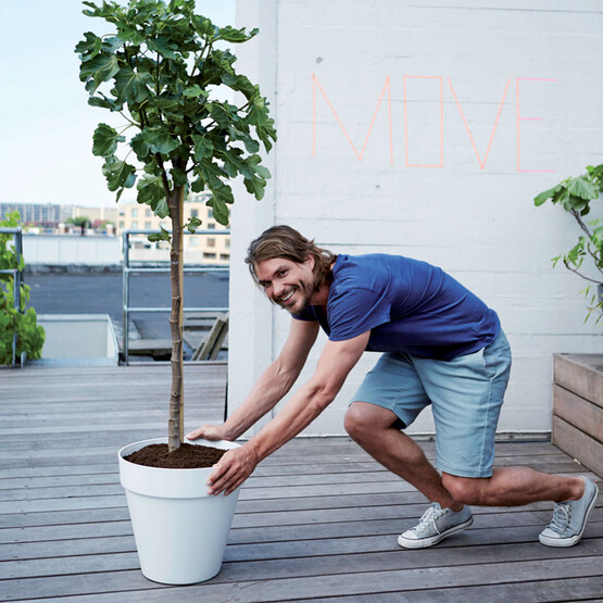 Elho Saksı Tekerlekli Beyaz Loft Urban 