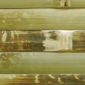 Bambu Duvar Kaplaması-Ex17V