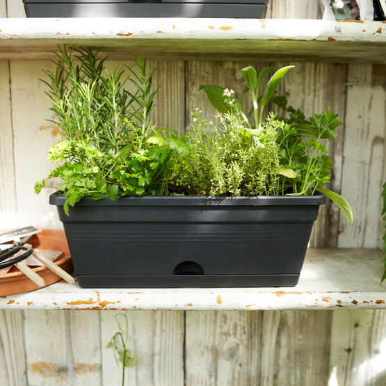 Elho Green Basics Balkon Saksısı Siyah 30 cm 