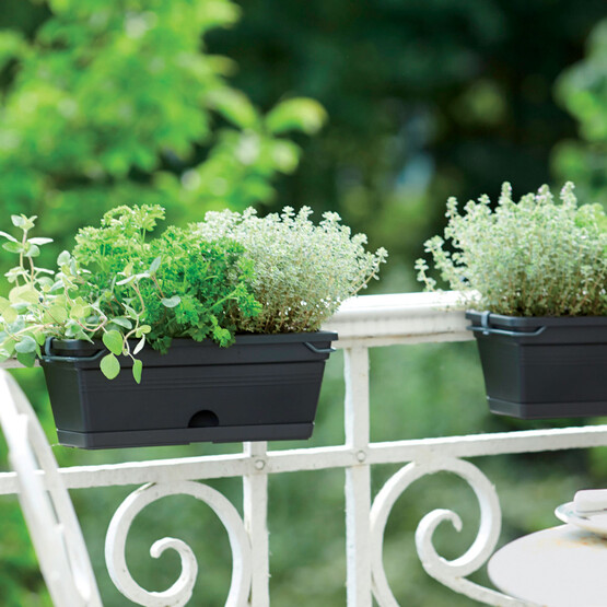 Elho Green Basics Balkon Saksısı Siyah 30 cm 