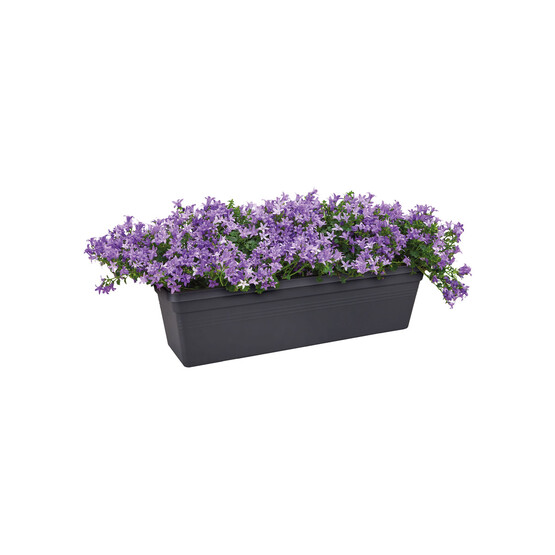 Elho Green Basics Balkon Saksısı Siyah 40 cm 