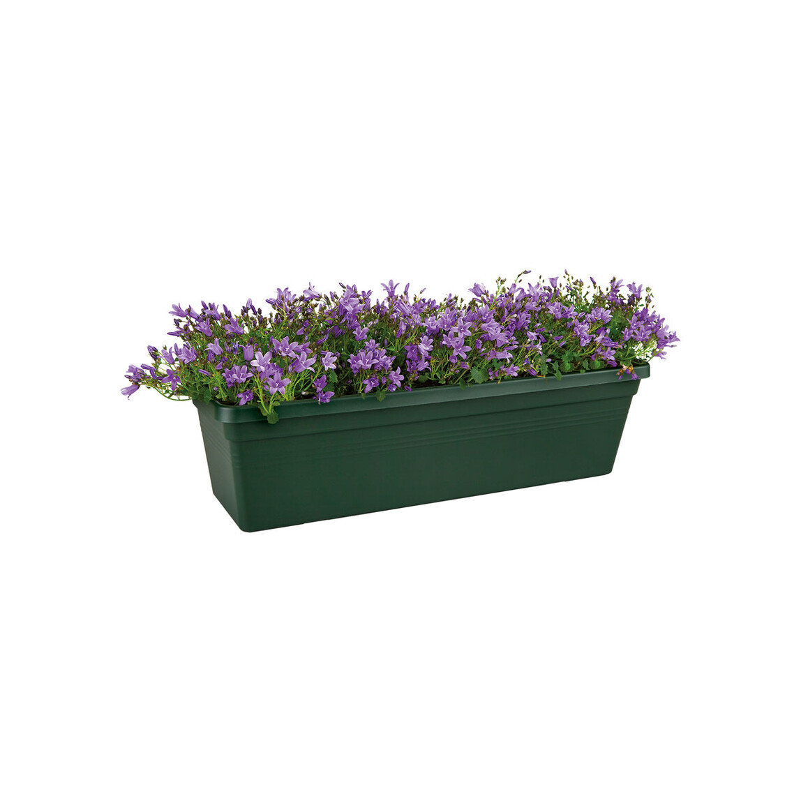    Elho Green Basics Balkon Saksısı Yeşil 80 cm  