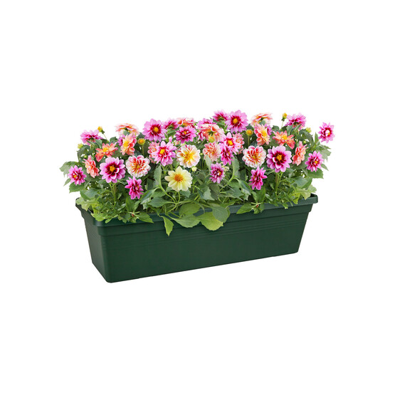 Elho Green Basics Balkon Saksısı Yeşil 80 cm 