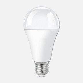 Ecolite Led Classic A80 16W E27 6500K