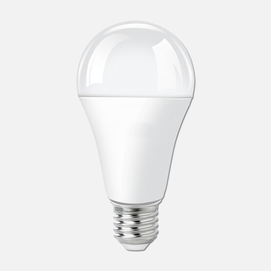 Ecolite Led Classic A80 16W E27 6500K 