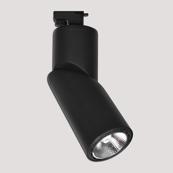 Dlc Ray Serisi NR150-2 50 W Ledli E27 Duy Yuvarlak Ray Spot 1 Adet Siyah 