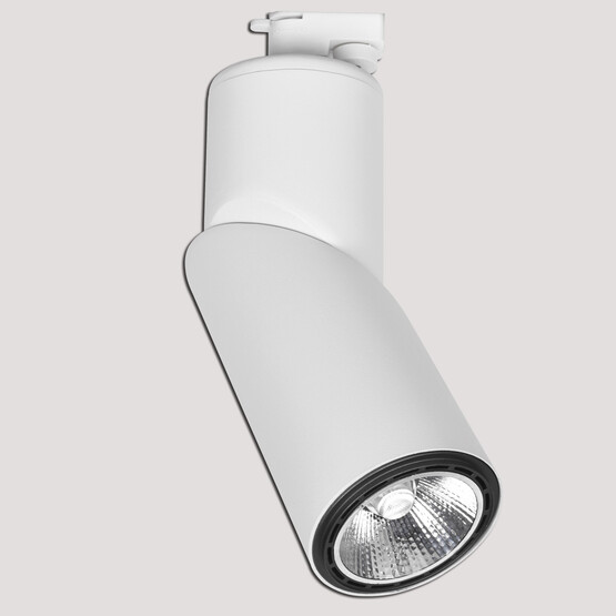 Dlc Ray Serisi NR150-2 50 W Ledli E27 Duy Yuvarlak Ray Spot 1 Adet Beyaz 