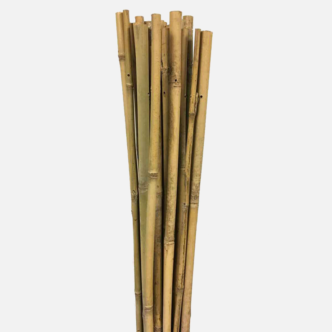 Gardener Bambu Bitki Destek Çubuğu 120 cm_0