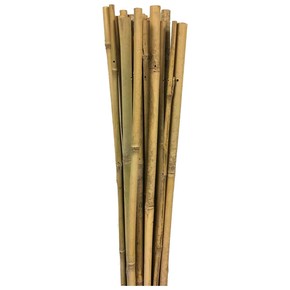 Gardener Bambu Bitki Destek Çubuğu 120 cm Bauhaus