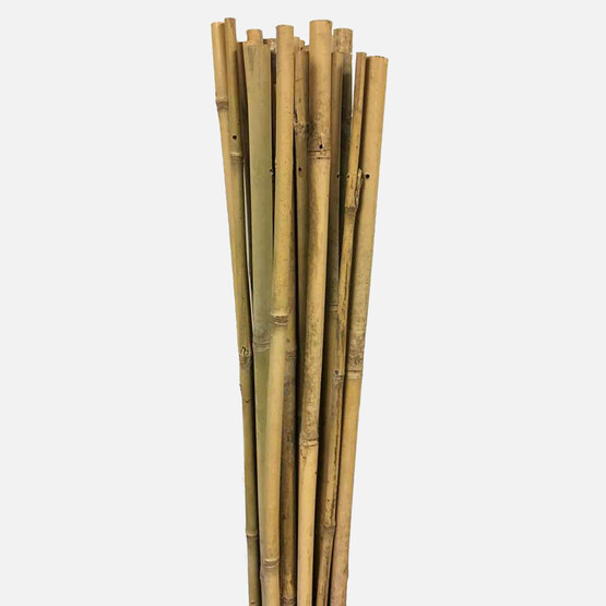 Gardener Bambu Bitki Destek Çubuğu 120 cm