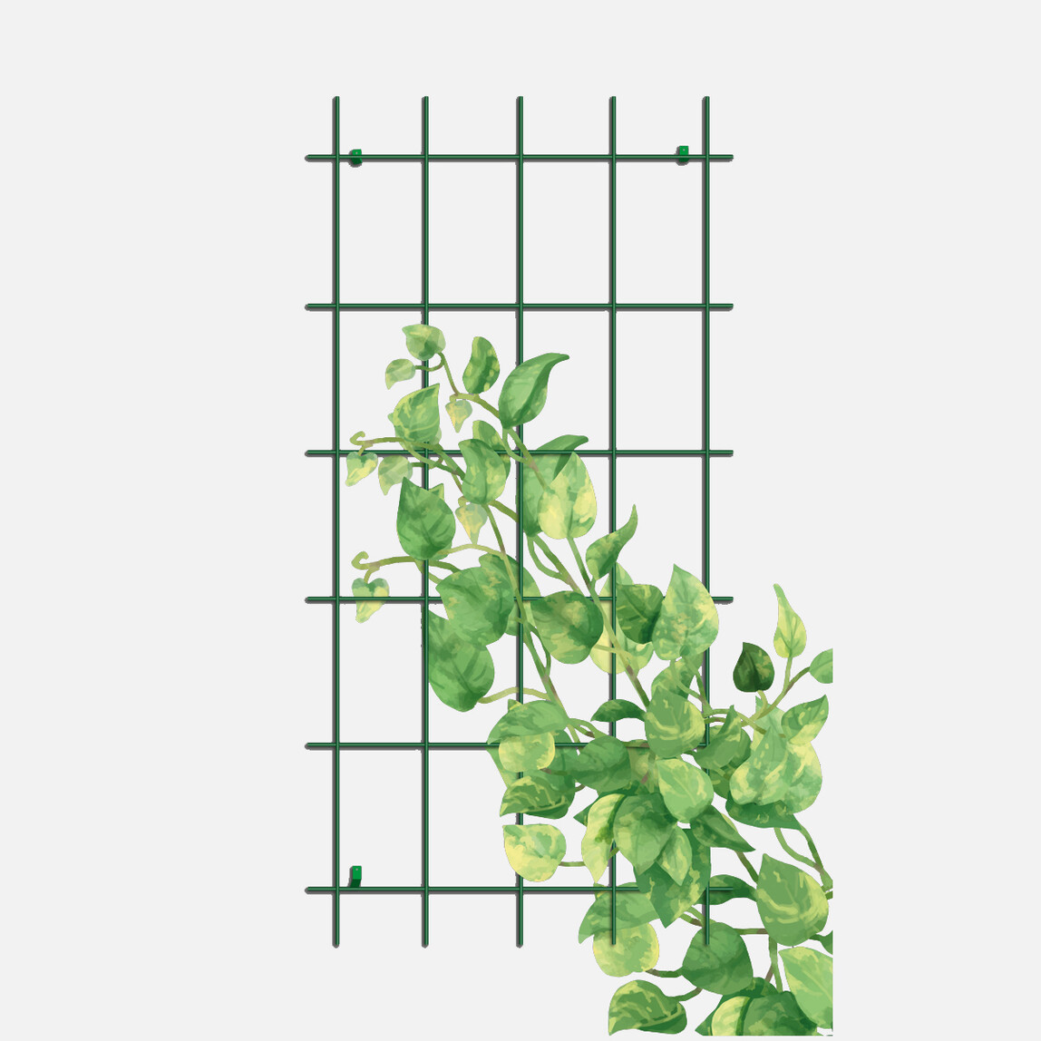    Gardener Sarmaşık Bitkilere Özel Destek Kafesi Yeşil 75 cm 