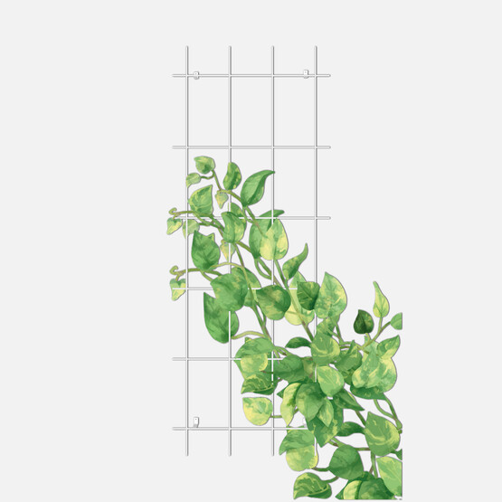 Gardener Sarmaşık Bitkilere Özel Destek Kafesi Beyaz 60 cm
