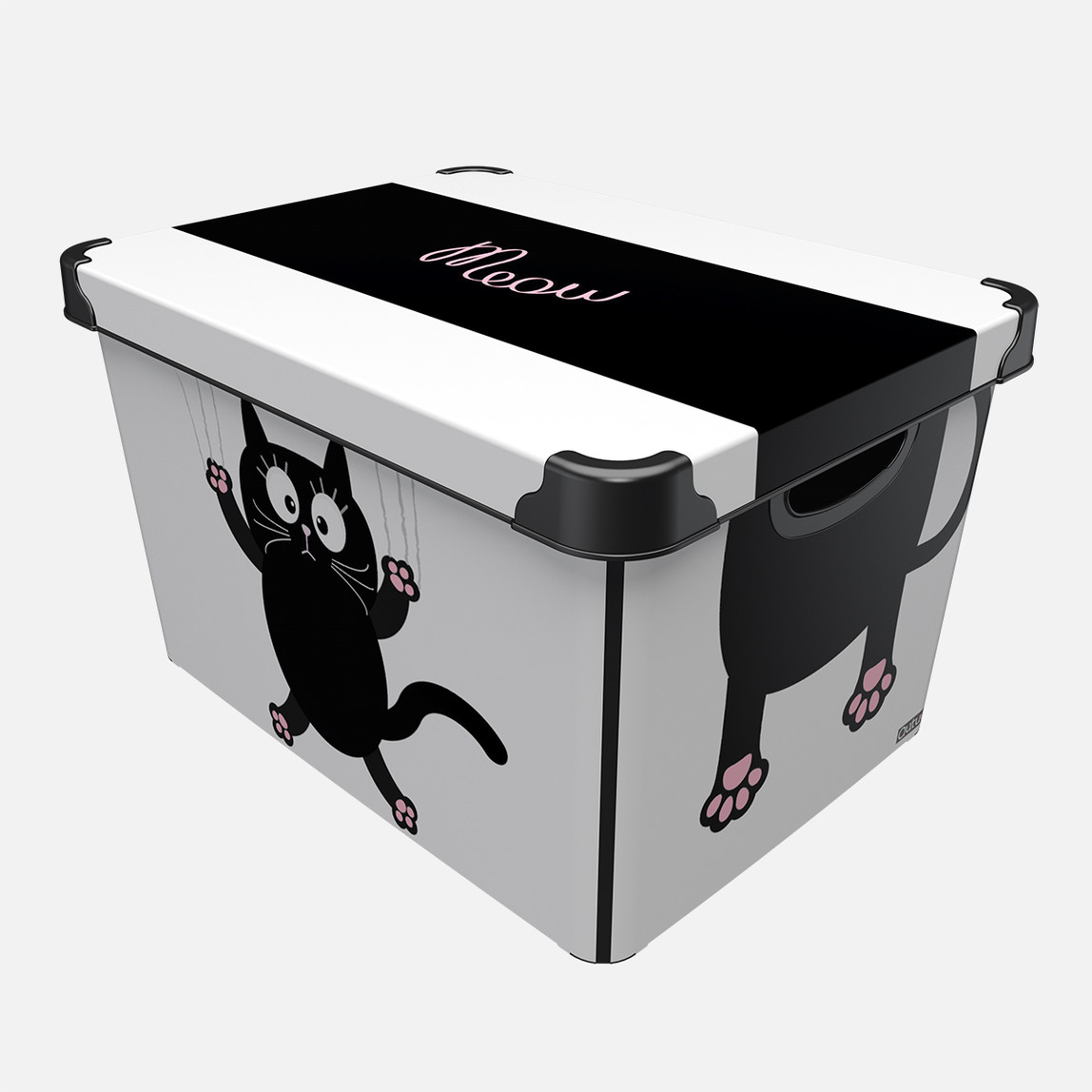 Style Box Meow Cat_0