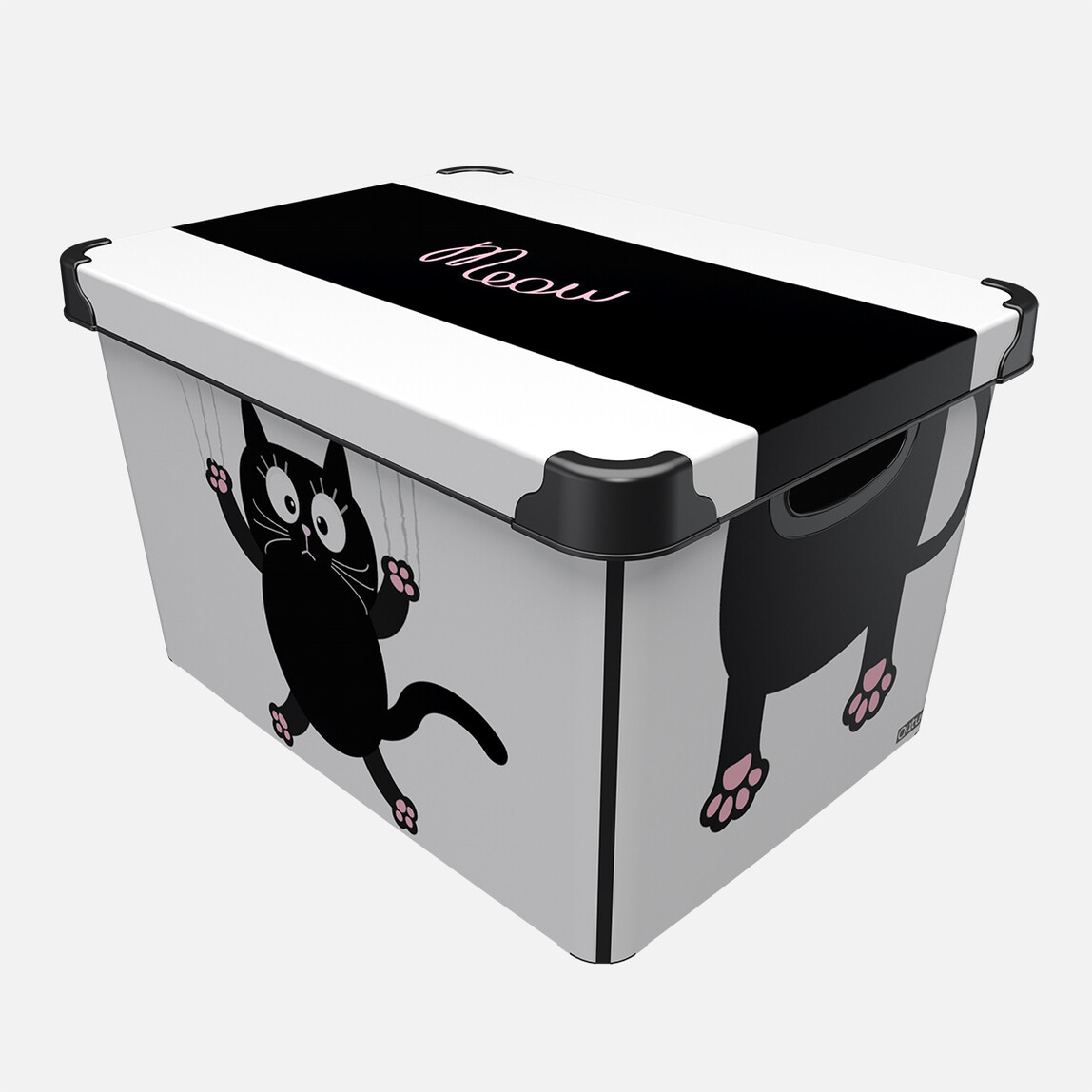    Qutu Style Box Meow Cat   