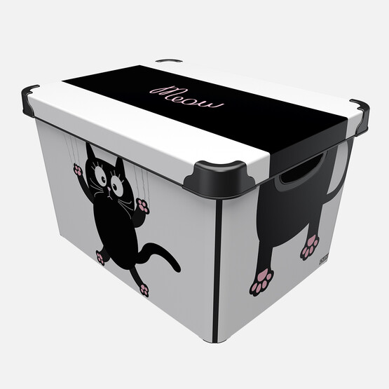Qutu Style Box Meow Cat  