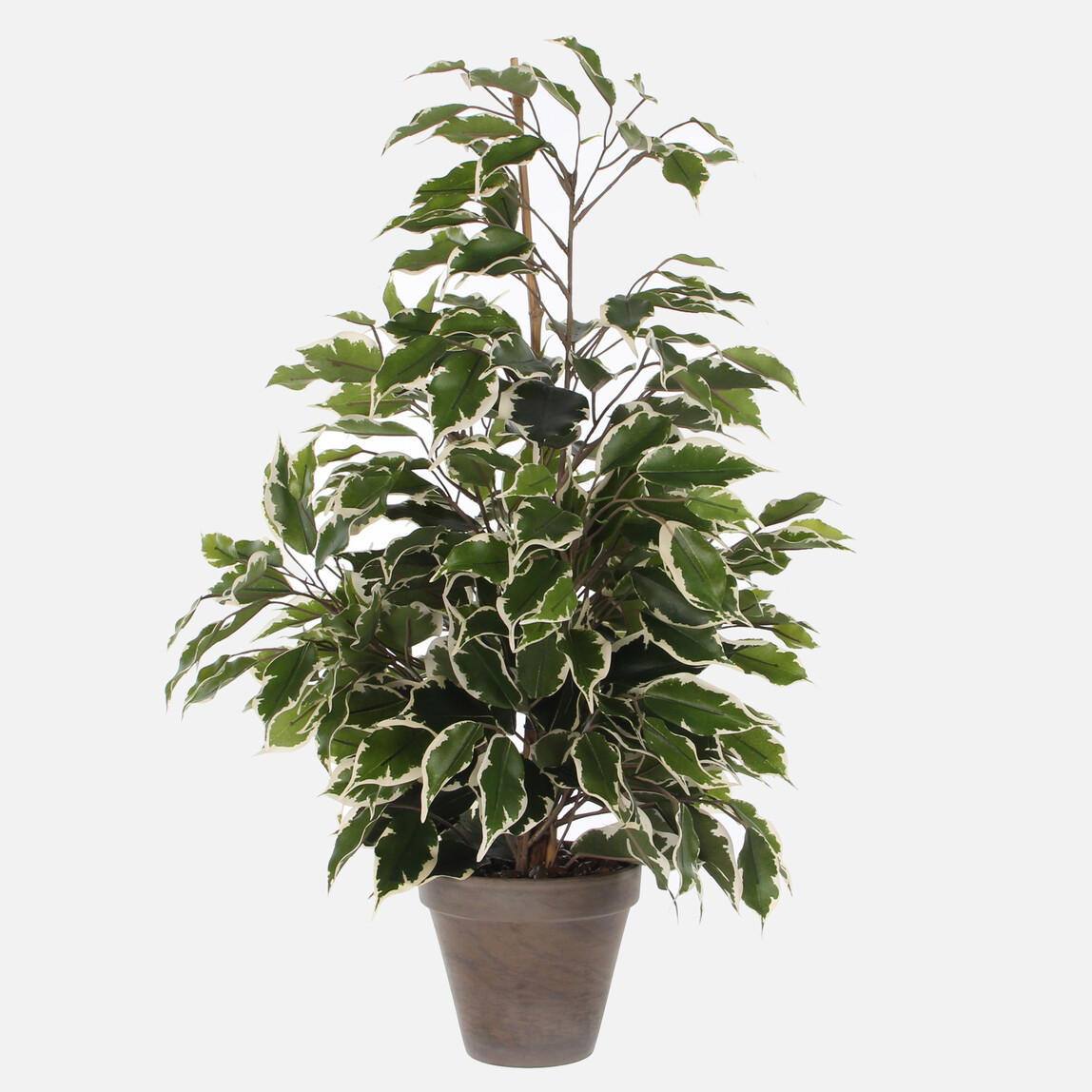 Ficus Yapay Ağaç 65 cm_0