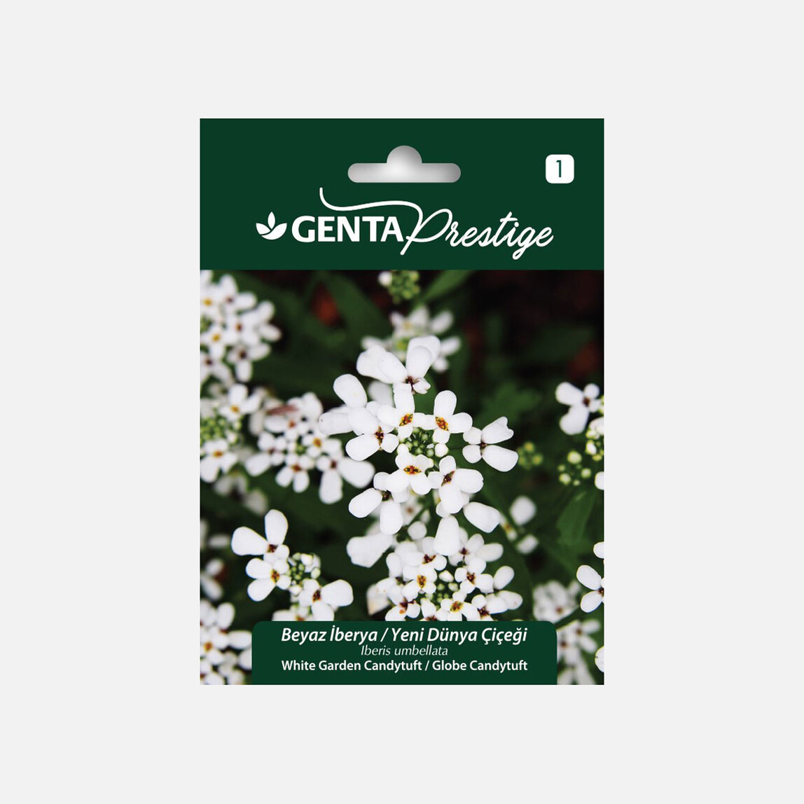    Genta Prestige Beyaz İberya Yeni Dünya Çiçeği Tohumu  