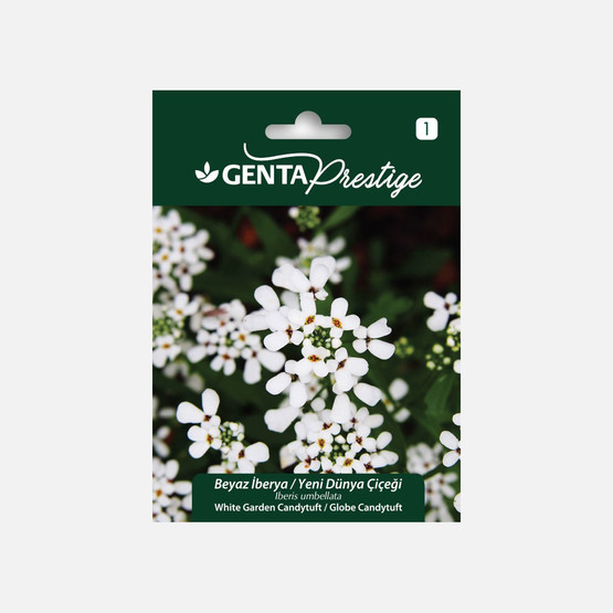 Genta Prestige Beyaz İberya Yeni Dünya Çiçeği Tohumu