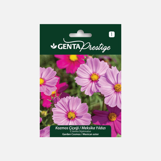 Genta Prestige Kozmos Çiçeği Meksika Yıldızı Tohumu 