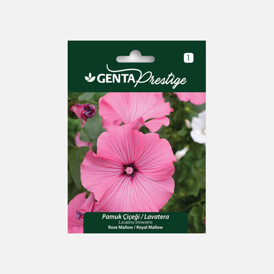 Genta Prestige Pamuk Çiçeği Lavatera Tohumu 
