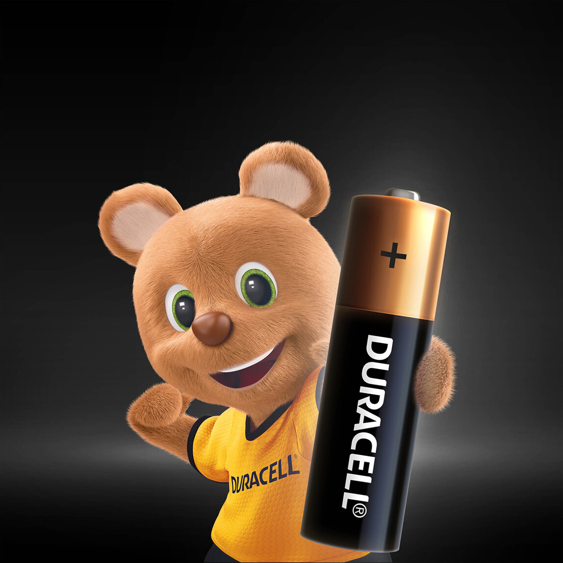 Duracell 8'li Alkalin AA Kalem Pil_1