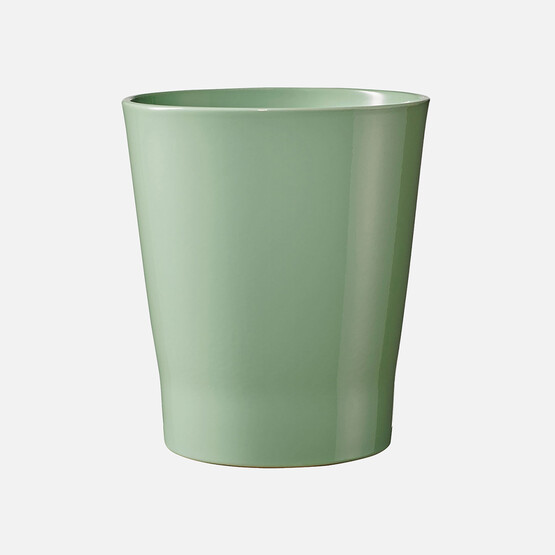 Merina Candy Orkide Saksısı Yeşil 15 cm