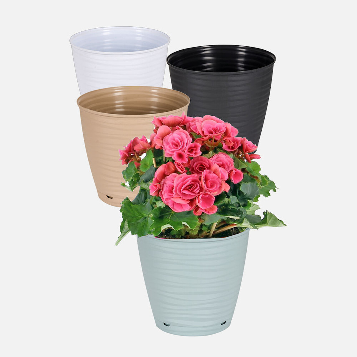    PlastArt Sahra Saksı 14cm 