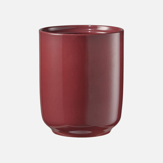 Bari Summer Saksı Bordo 15 cm