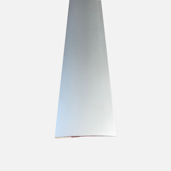 Ersin 40 mm Ek Kapama Profili Gümüş 270 cm
