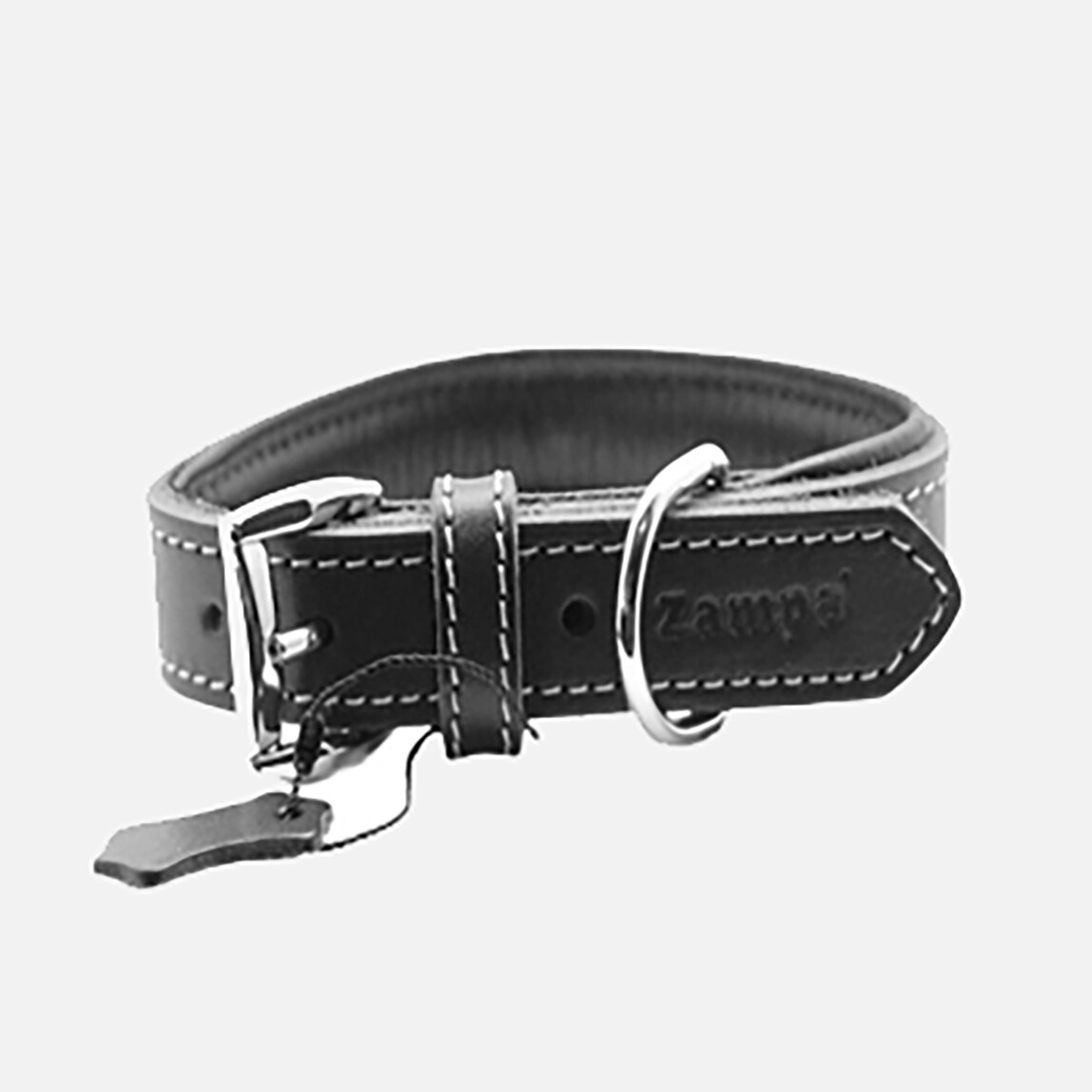    Zampa Classic M Köpek Boyun Tasması Siyah 54 cm   