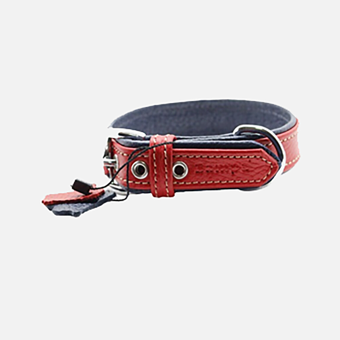    Zampa Flotter M Köpek Boyun Tasması 54 cm  