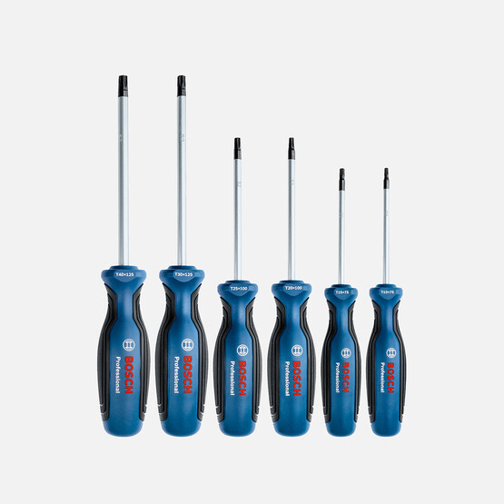 Bosch Profesyonel Torx Tornavida Seti 6 Parça 