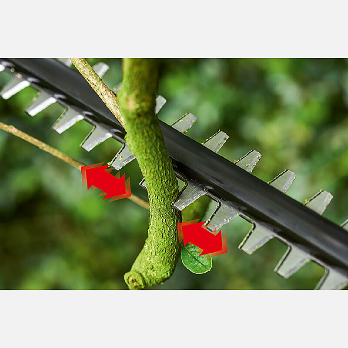    Bosch Universal Hedgepole 18 Solo Teleskopik Akülü Çit Budama Makinesi (Akü ve Şarj Cihazı Dahil Değildir)
  