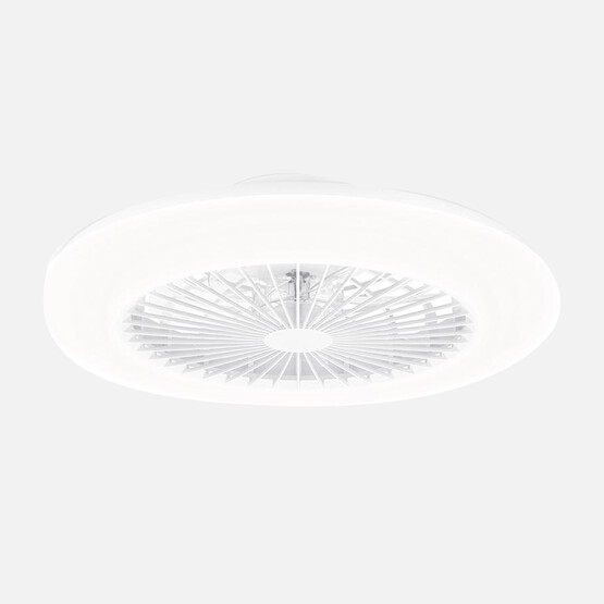 Philips Amigo Fanlı25W+60 W Tavan Vantilatörü
