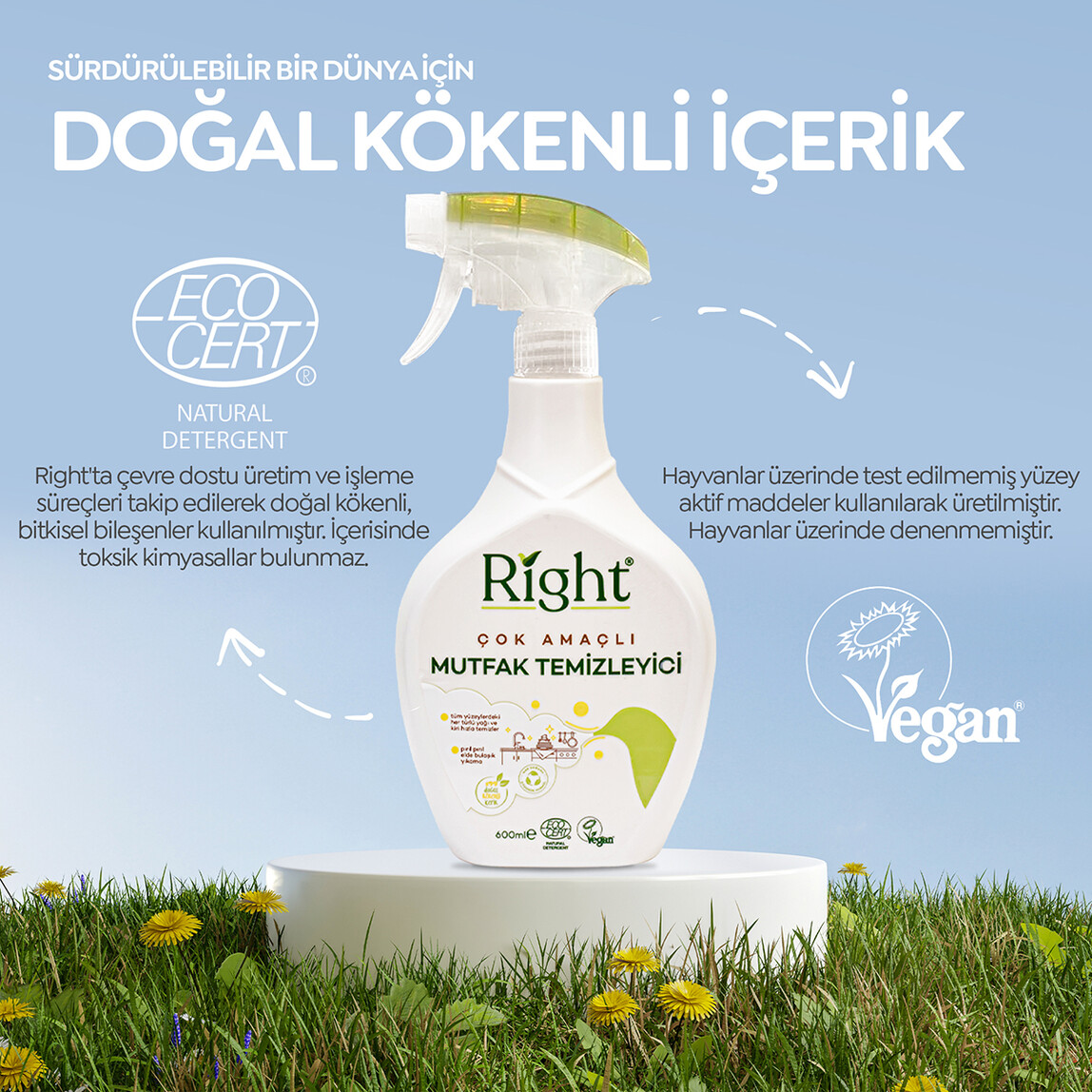    Right Mutfak Temizleyici 600ml 